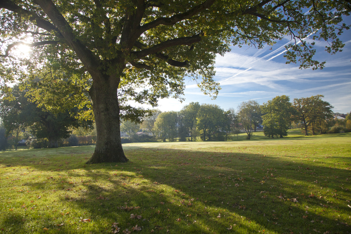 Les Jardins De VendÃ©e