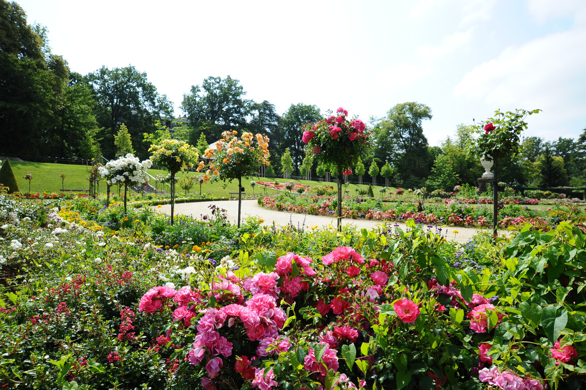 JARDIN DES PLANTES Le Mans
